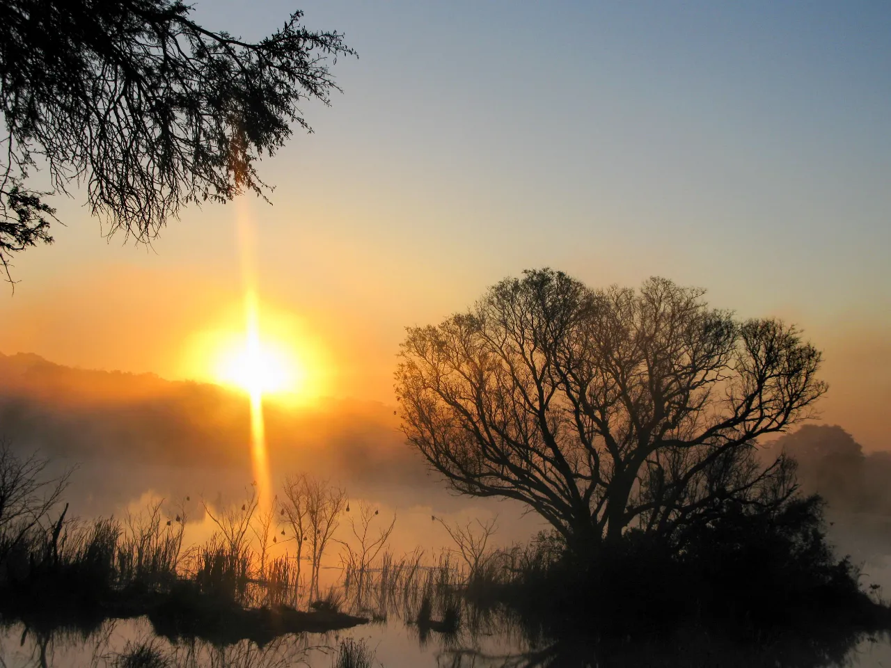 Skön morgonstämning Skön morgonstämning