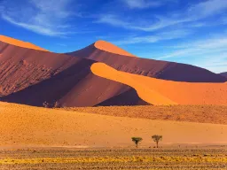 De berömda röda sanddynerna vid Sossusvlei i Namiböknen kan bli upp till 400 m höga De berömda röda sanddynerna vid Sossusvlei i Namiböknen kan bli upp till 400 m höga